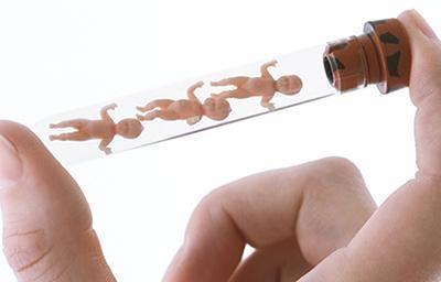 胚胎实验室